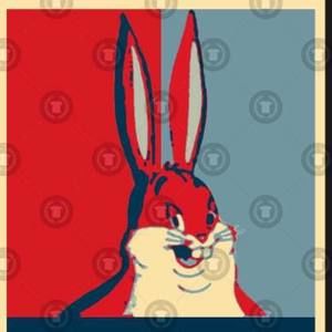 Meet your Posher, Kaleb